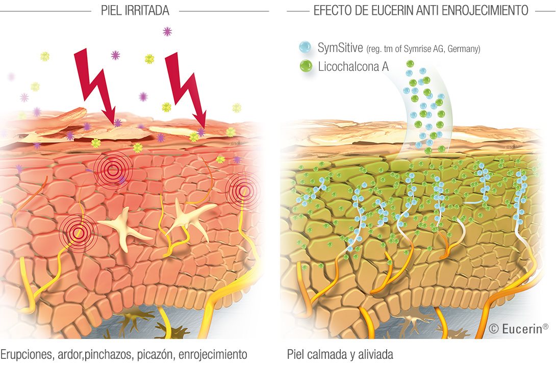 Diagrama para ilustrar el efecto de Eucerin AntiEnrojecimiento