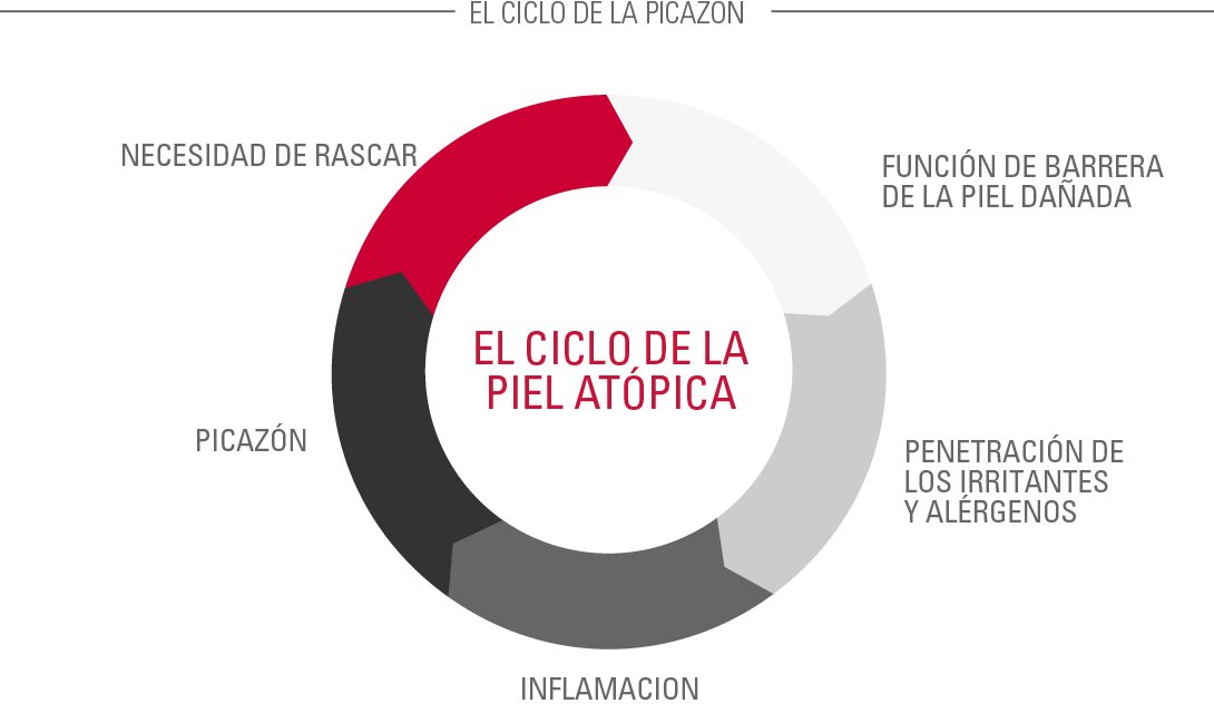 El ciclo atópico de la piel (también conocido como el ciclo de la picazón)